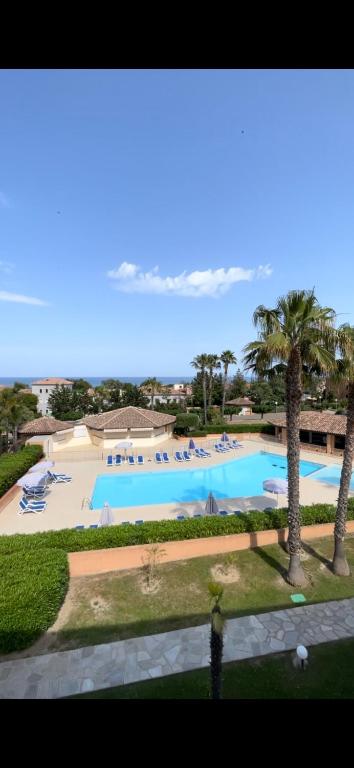 a view of a swimming pool with chairs and palm trees at Corse Appartement Sognu di Mar Marine de Bravonne à Linguizzetta in Linguizzetta