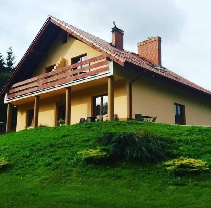 a house on top of a green hill at Noclegi u Belli in Jugowice