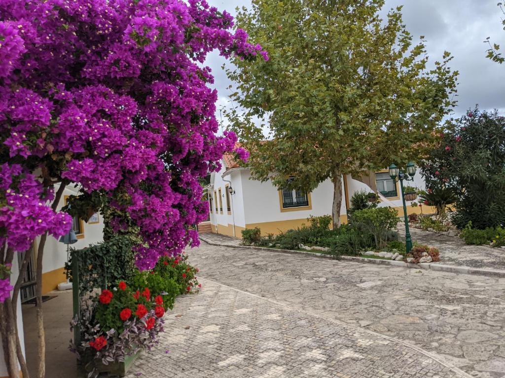 a street with purple flowers in front of a building at Estudio Robusto in Monte do Valão
