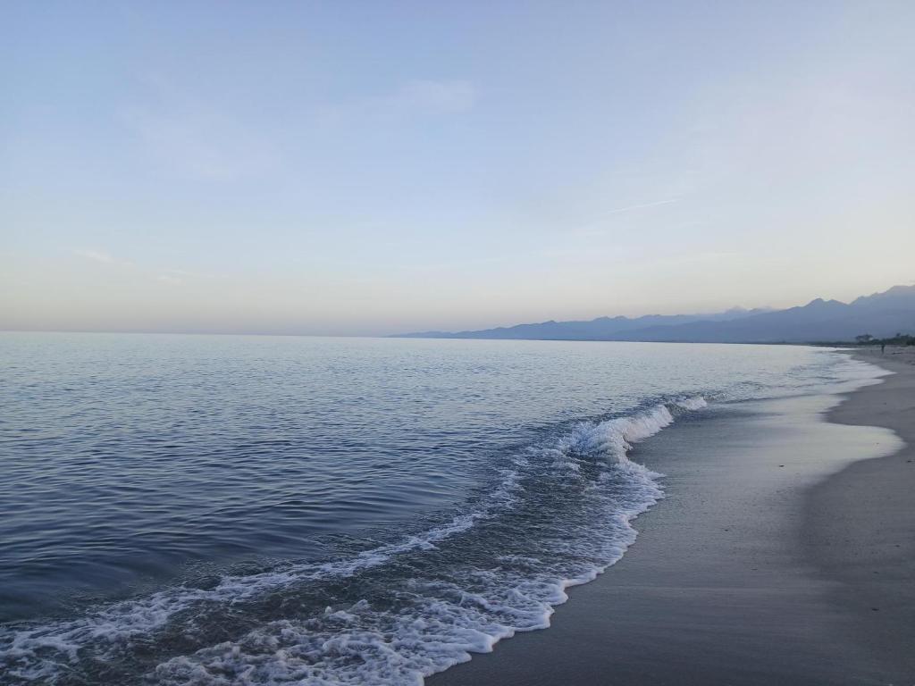a beach with the ocean and the shoreline at Ghiso'Lodge in Ghisonaccia