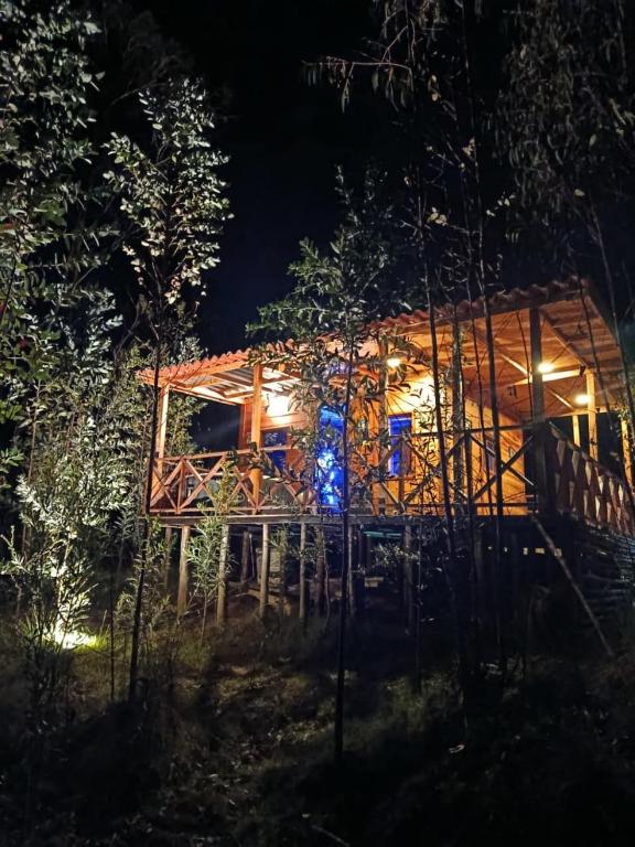 a tree house in the woods at night at Chalet Magico en el Bosque in Oicatá