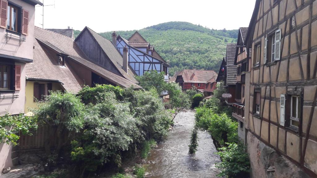 Gite Gewurz n°4 à Kaysersberg – photo 23