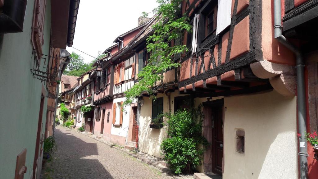 Gite Gewurz n°4 à Kaysersberg – photo 24