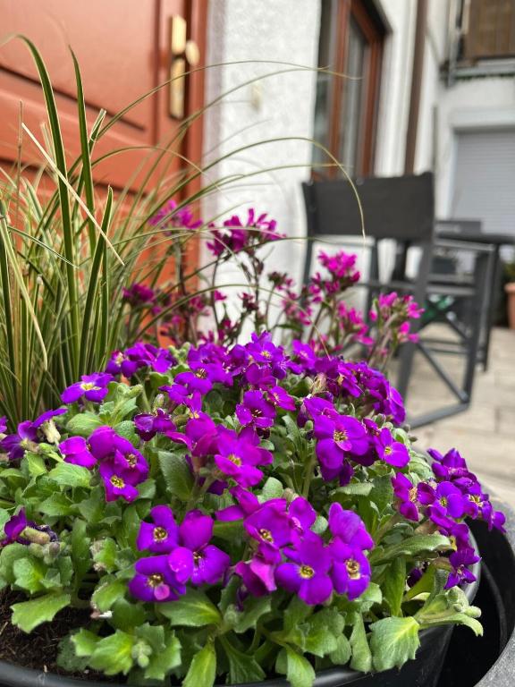a flower pot filled with purple flowers on a patio at Ferienwohnung Zum Rottweiler Städtle - Erdgeschosswohnung in Rottweil
