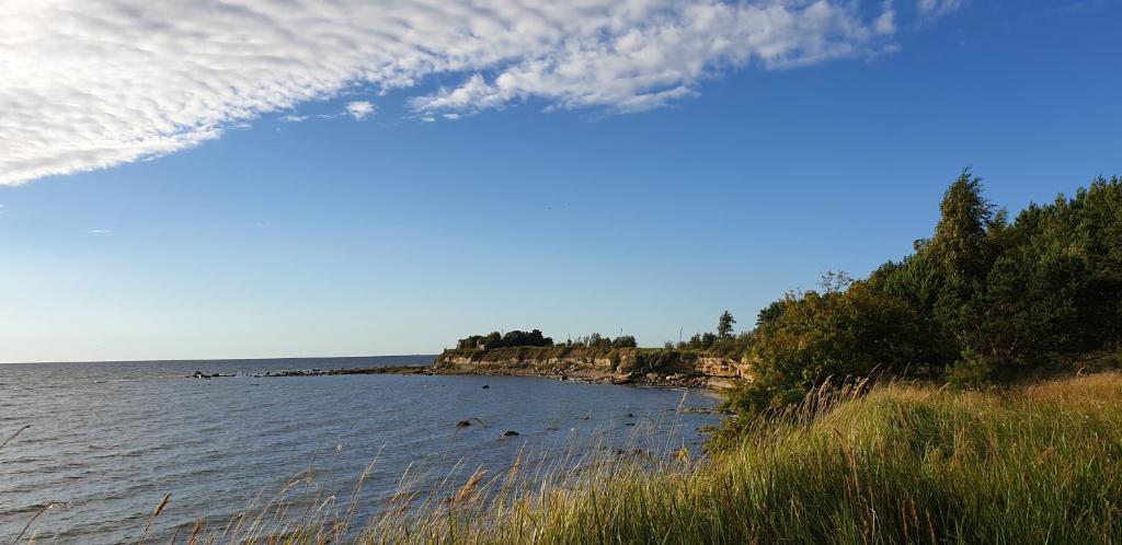 a view of a body of water with trees and grass at Дом у моря in Suurupi