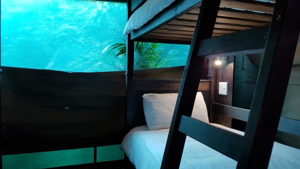 Budget Tented Village @ Urban Glamping, St Lucia – Updated 2023 Prices