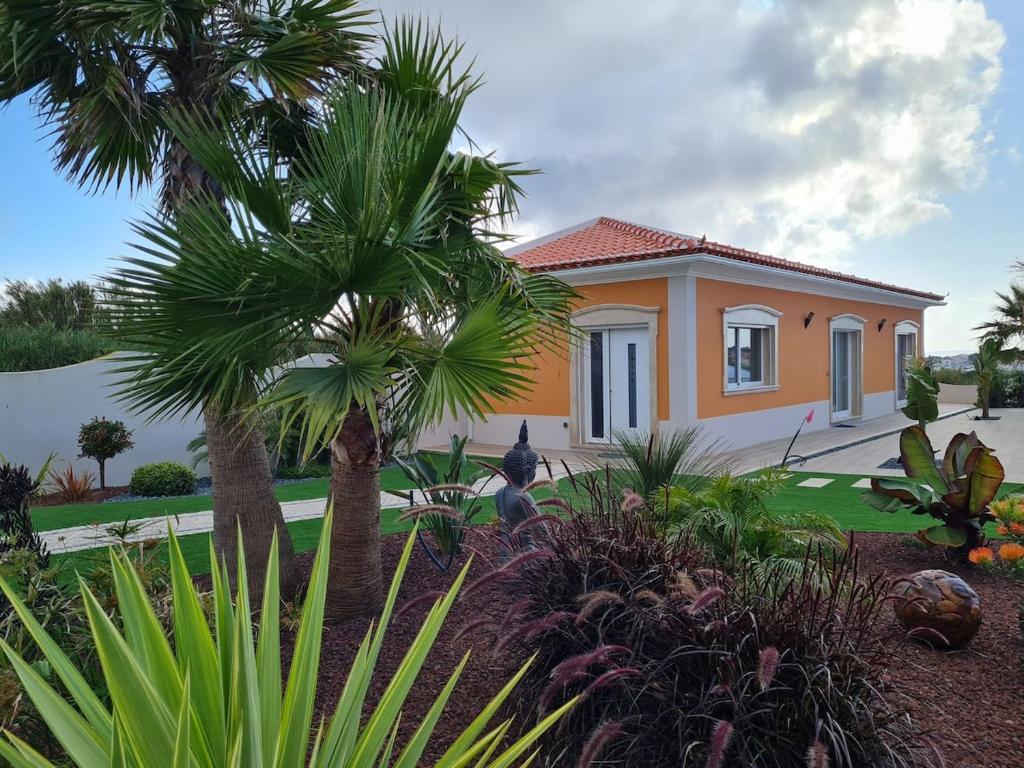 a house with a palm tree in front of it at appartement F2 in Ferrel