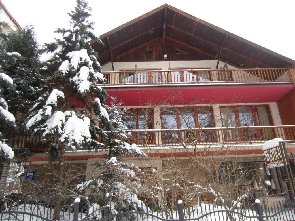 Willa M cisza w centrum miasta في كرينيتسا زدروي: مبنى كبير مع شرفة في الثلج