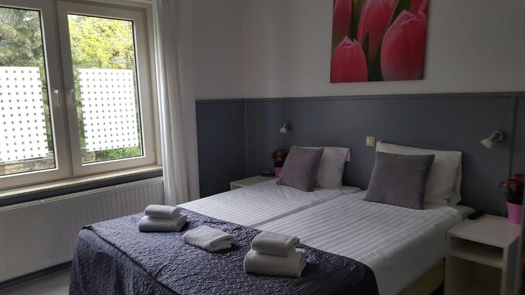 Hotel Dupuis - Resim 28