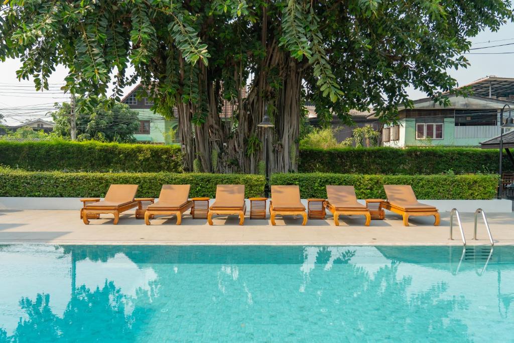 Poolside loungers sit beneath a mature tree with a hedge and neighboring buildings beyond.