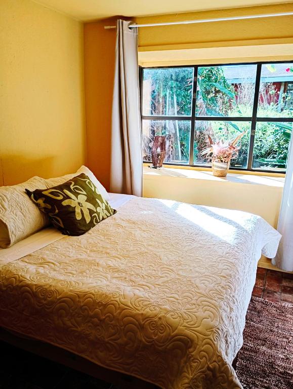 a bedroom with a bed with a large window at Beautiful cabin on Easter Island in Hanga Roa
