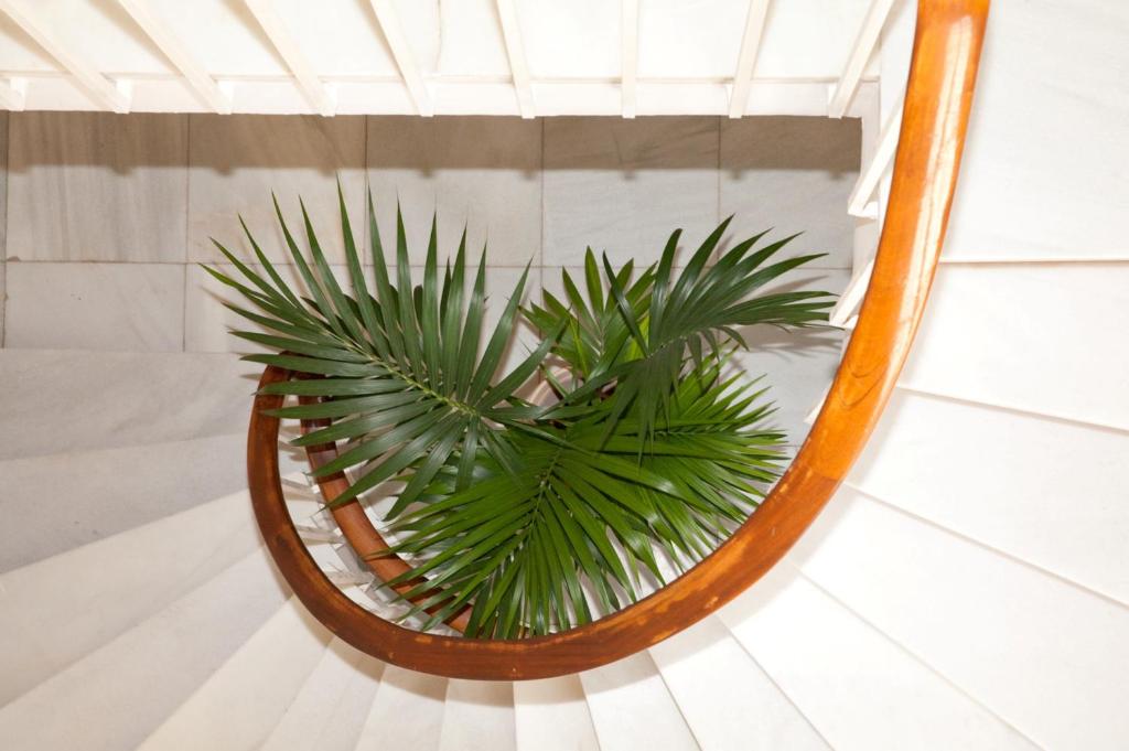 Kép Tibidabo Apartments szállásáról Barcelonában a galériában
