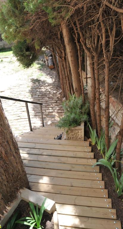 A garden outside Tibidabo Apartments