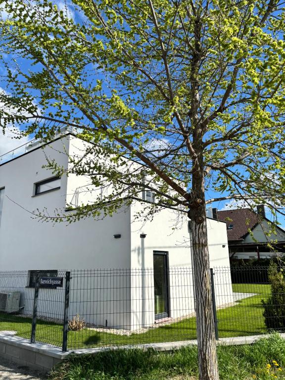 a white house with a tree in front of it at Haus mit Garten bei Wien in Langenzersdorf