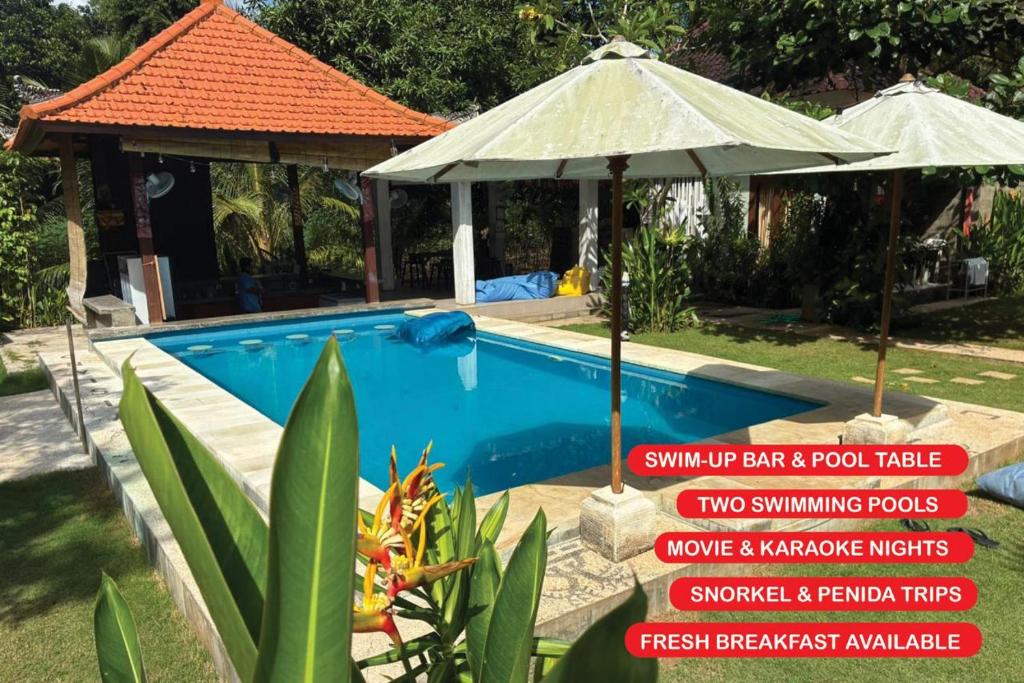 a swimming pool with an umbrella and a pool house at Castaway Island Hostel in Nusa Lembongan