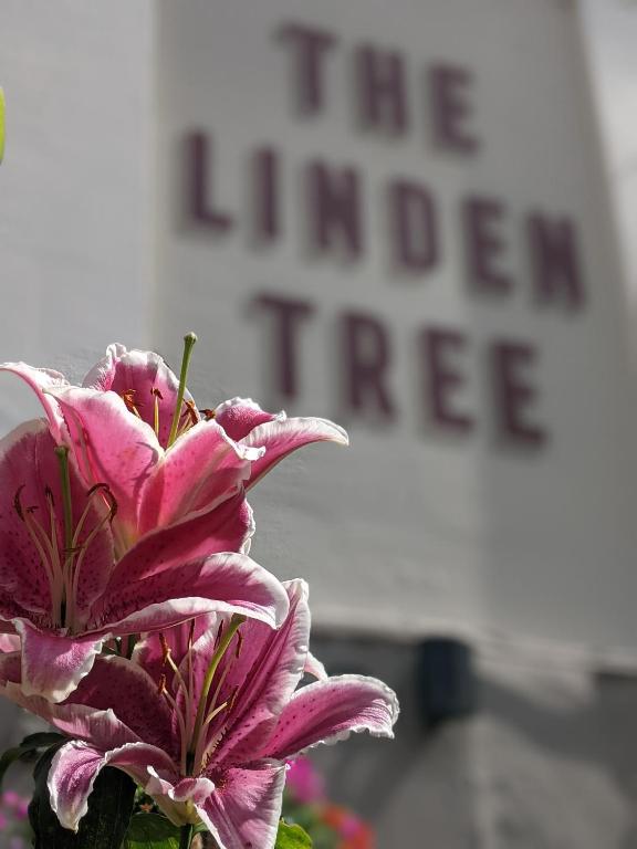 a pink flower in a vase in front of a sign at The Linden Tree in Gloucestershire