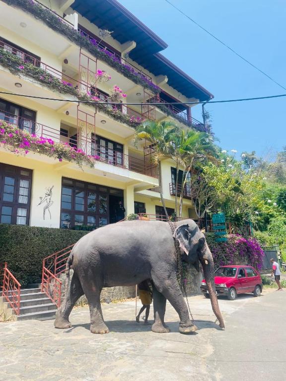 an elephant walking in front of a building at Nature Walk Resort in Kandy