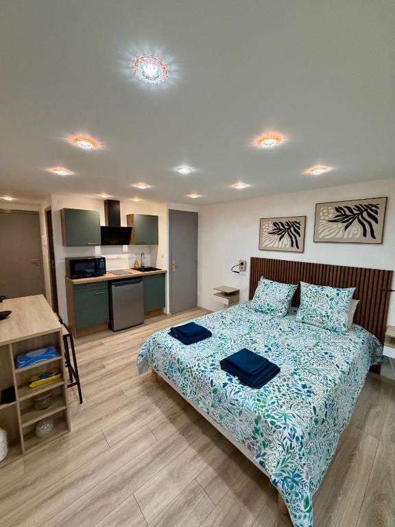 a large bedroom with a bed and a kitchen at Studio 2 neuf RDC hyper centre-ville in Bar-le-Duc