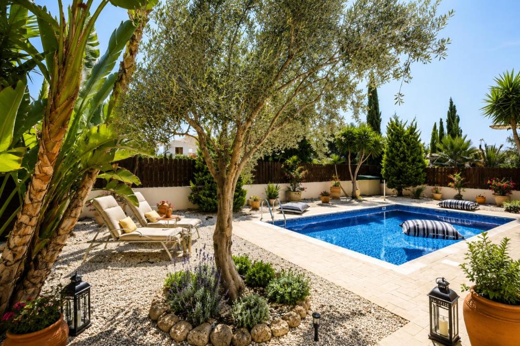 a swimming pool with a tree in a yard at Unique Beach Luxurious Villas in Ayia Napa