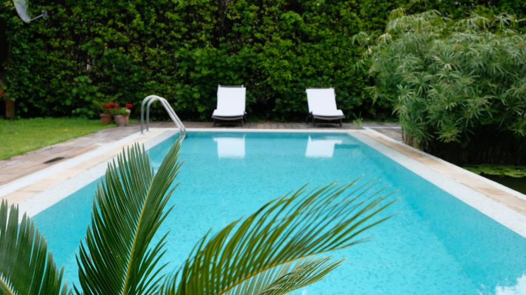 a swimming pool with two chairs and a palm tree at Casa Lupita - Private Family Villa with Pool & Garden in Terracina