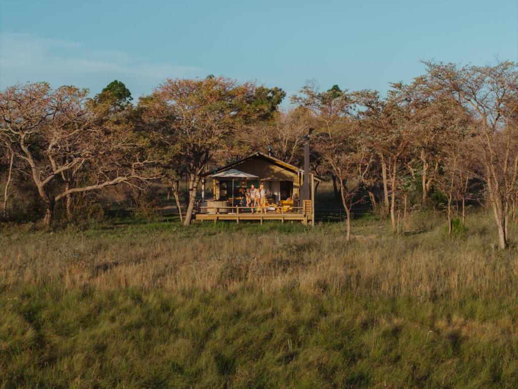 a safari hut in the middle of a field at AfriCamps Waterberg in Vaalwater