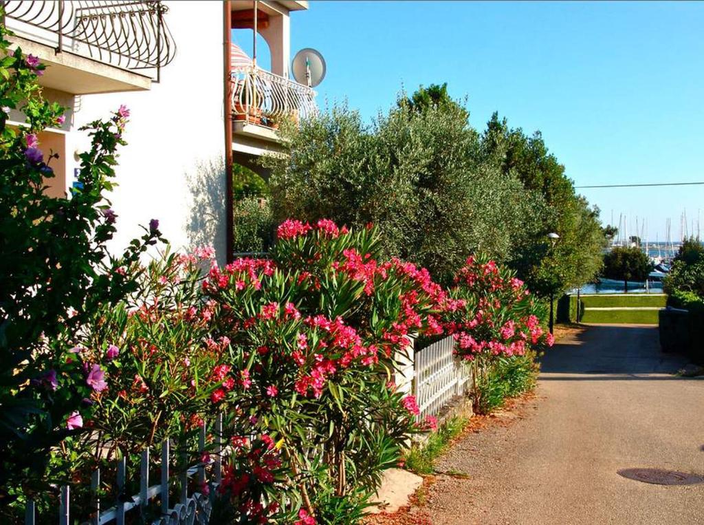 een bloementuin naast een gebouw bij Seafront Apartment Jadri in Umag