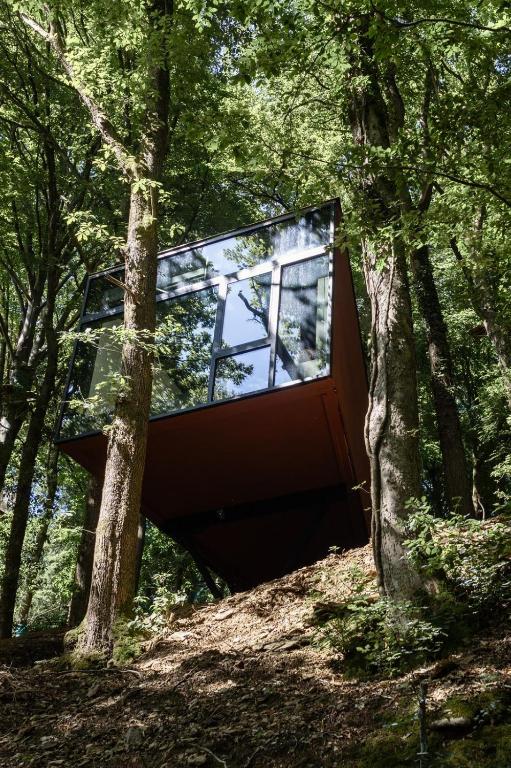a glass house in the woods with trees at Olivine 12 in La-Roche-en-Ardenne