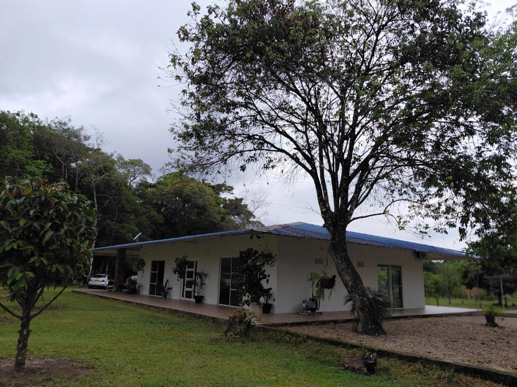 a house with a tree in front of it at Aguakey in Tauramena