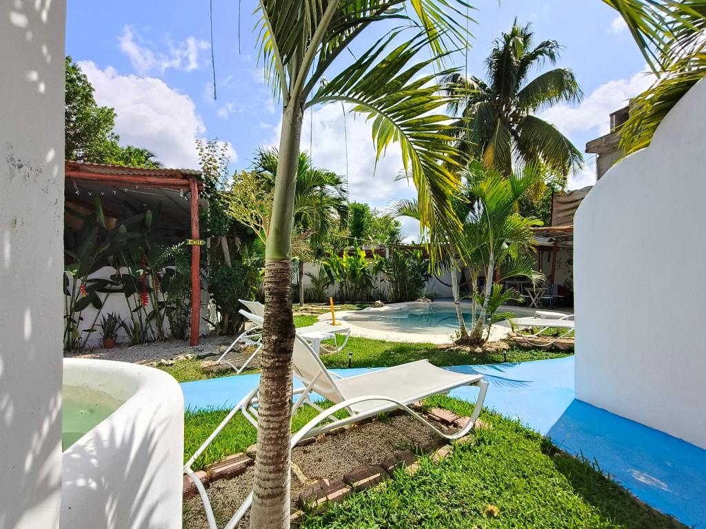 a palm tree and lounge chairs next to a pool at teki-sha home&suites in Bacalar