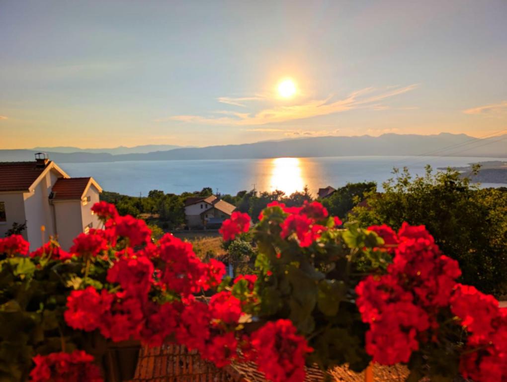 a view of the sunset from a field of red flowers at Lake and Mountain Hideaway in Ohrid