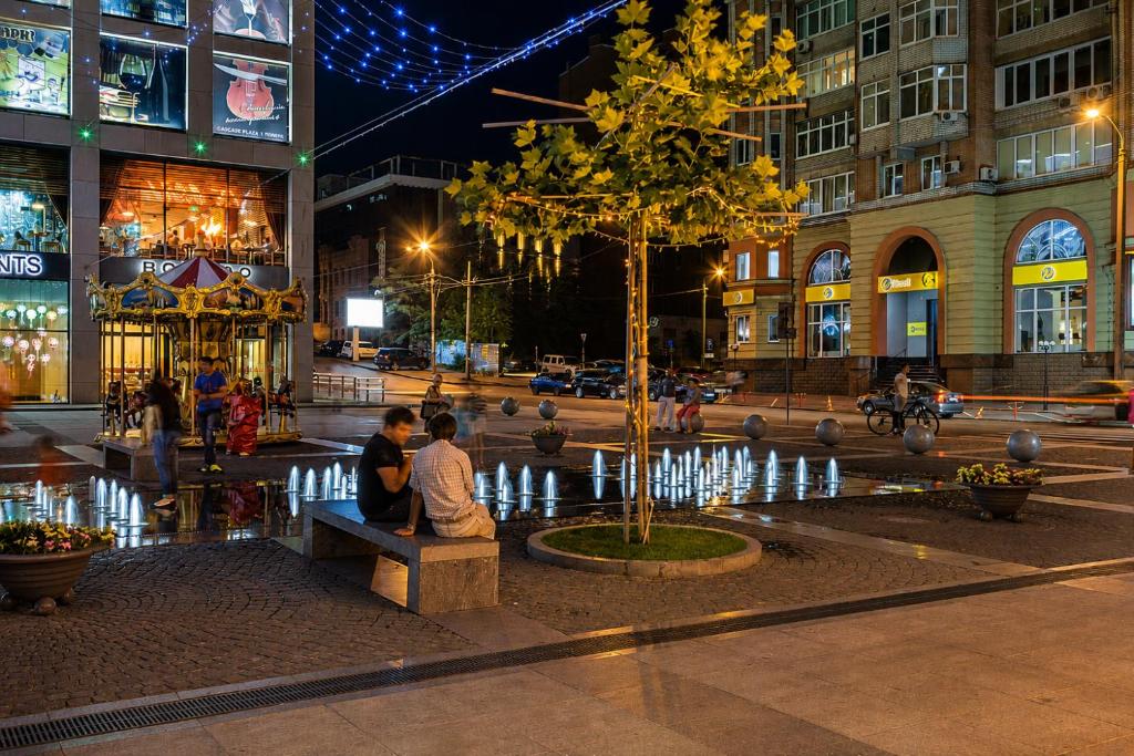 Zatyshna kvartyra v TsENTRI zi SVITLOM photo 7