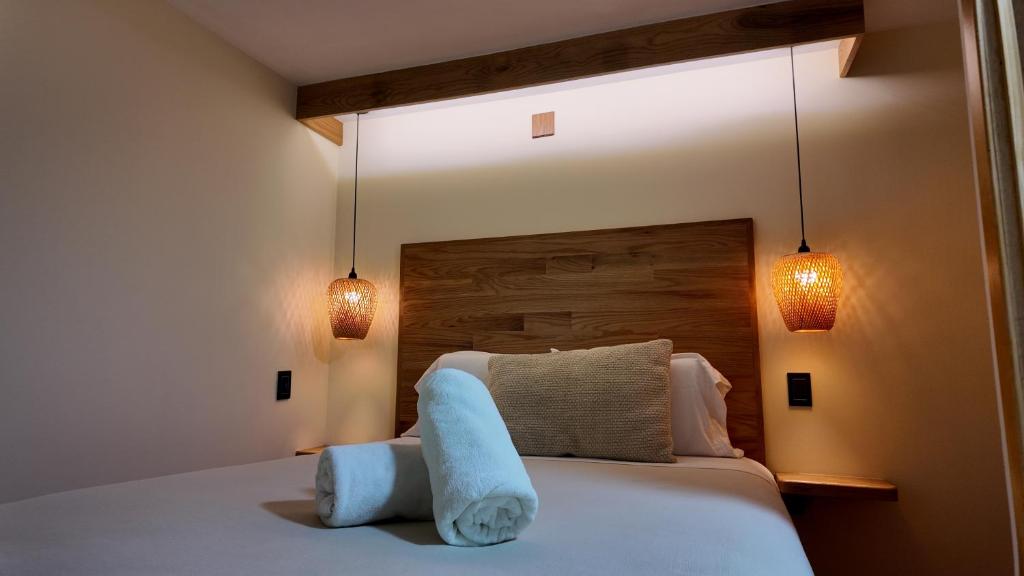 Terraza & Loft San Ángel - Housity