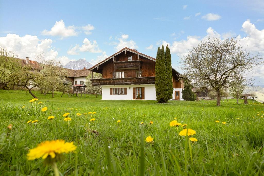 a field of flowers in front of a house at Mayerbauer in Piding