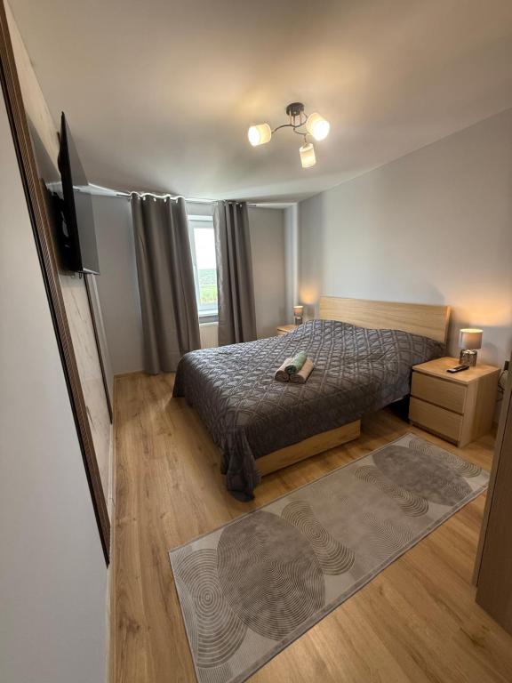 a bedroom with a bed and a television in it at Kogălniceanu 23 in Căuşeni