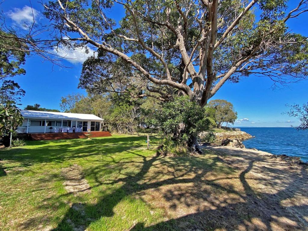 a house with a tree in front of the water at Sandy Shores in Amity Point