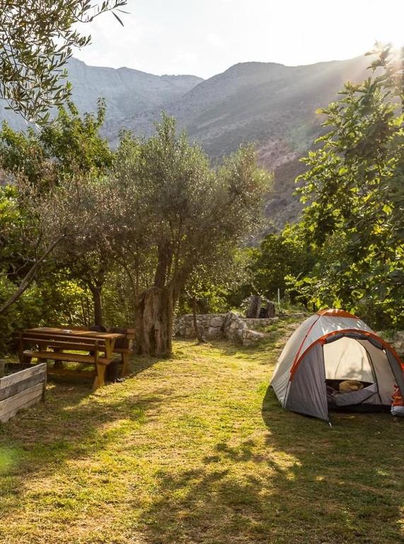 a tent in a field with a bench and mountains at My Olive Garden Camp in Bar