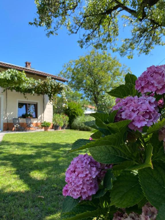 a bush of purple flowers in front of a house at Holiday house Katrca in Pivka
