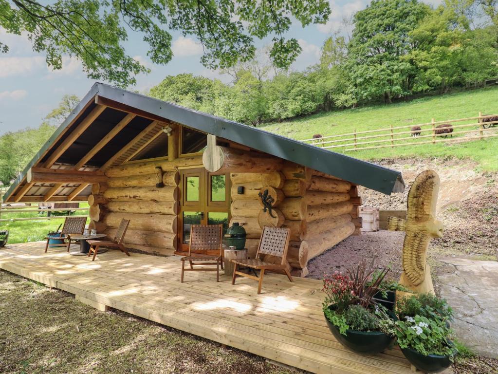 a log cabin with a porch and chairs and a cactus at Owl Valley Cabin in Oswestry
