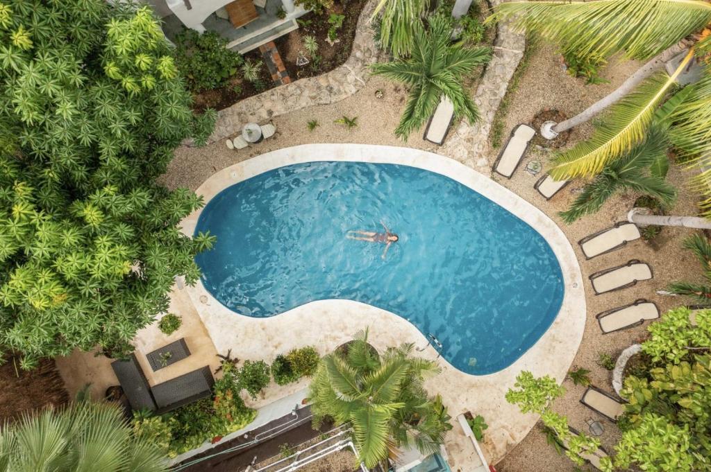 an overhead view of a swimming pool with palm trees at Hacienda Paradise Hotel in Playa del Carmen