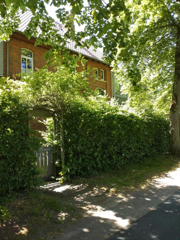 a building with a large hedge in front of it at Apartment Wallblick in Nienburg