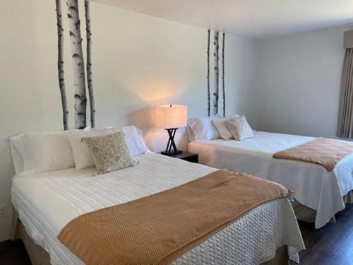 a bedroom with two beds and a lamp in it at Eagle Peak Lodge & Cabins in Ashton