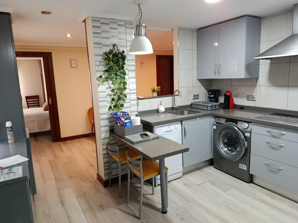 a kitchen with a table and a washing machine at Apartamento céntrico Irene IV in Avilés