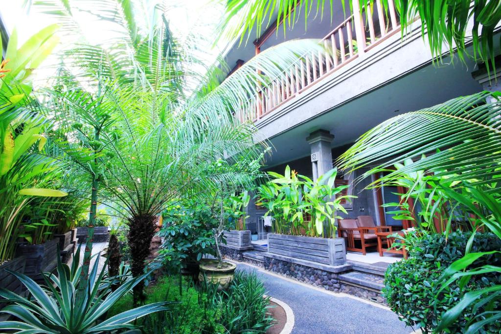 Zahrada ubytování Letos Kubu Homestay