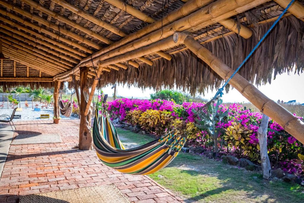 Zahrada ubytování Canoa Suites