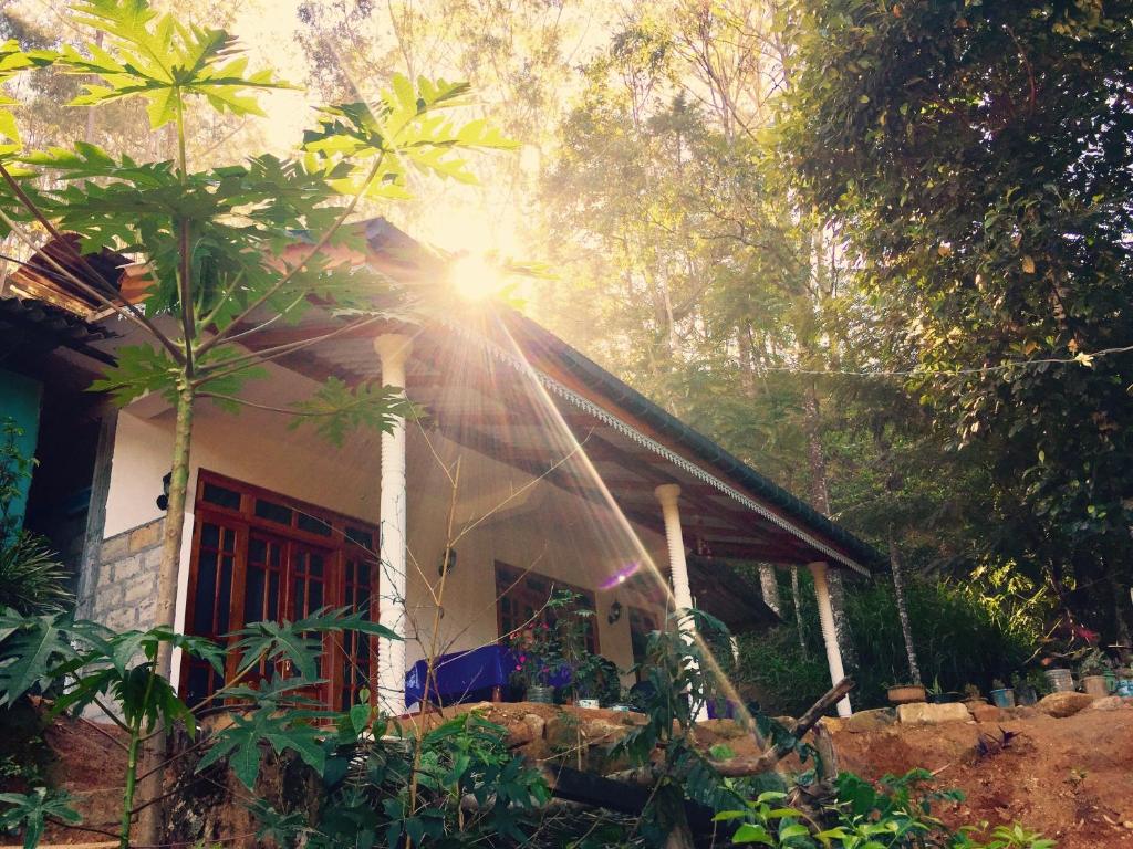 una casa con el sol brillando entre los árboles en Secret Nest Homestay, en Ella