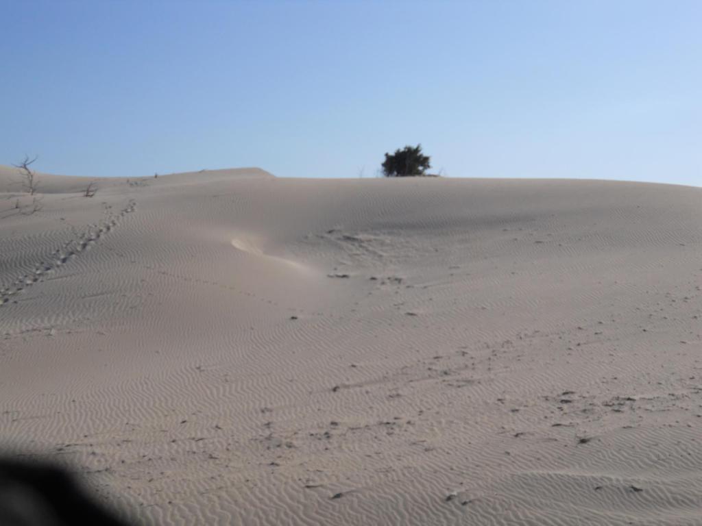 Paesaggio naturale nelle vicinanze della casa vacanze