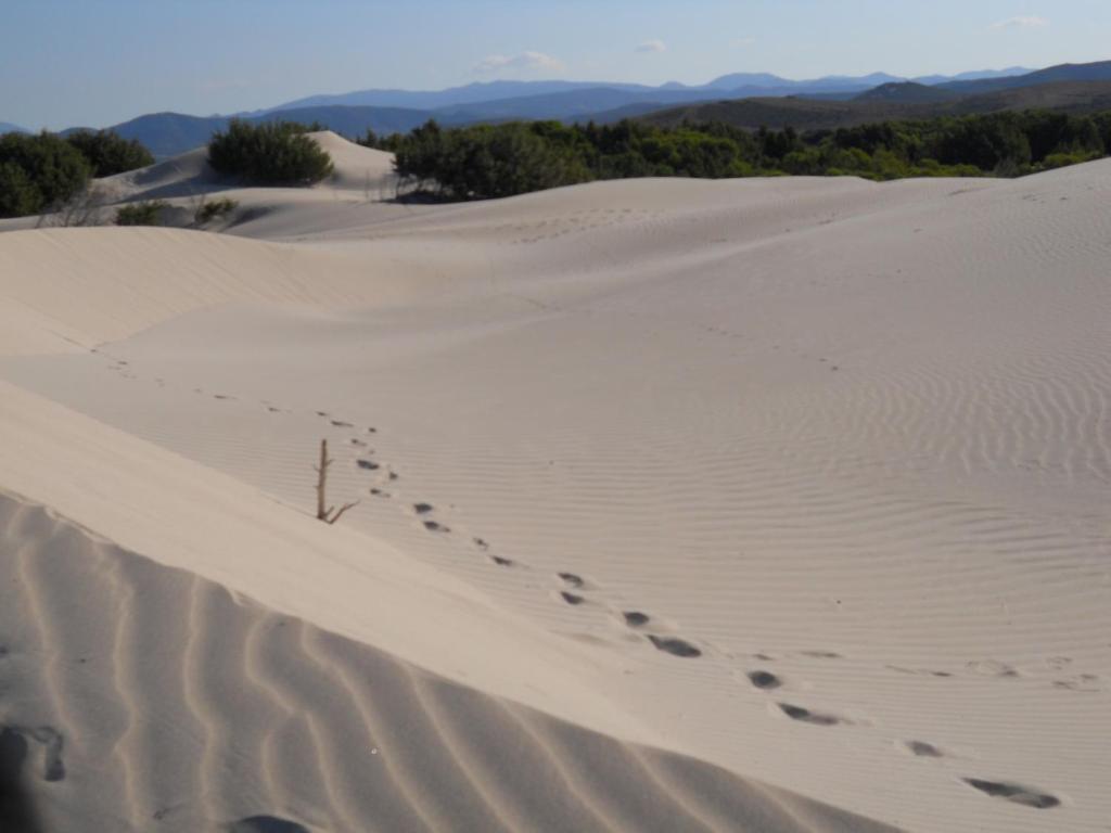 Paesaggio naturale nelle vicinanze della casa vacanze