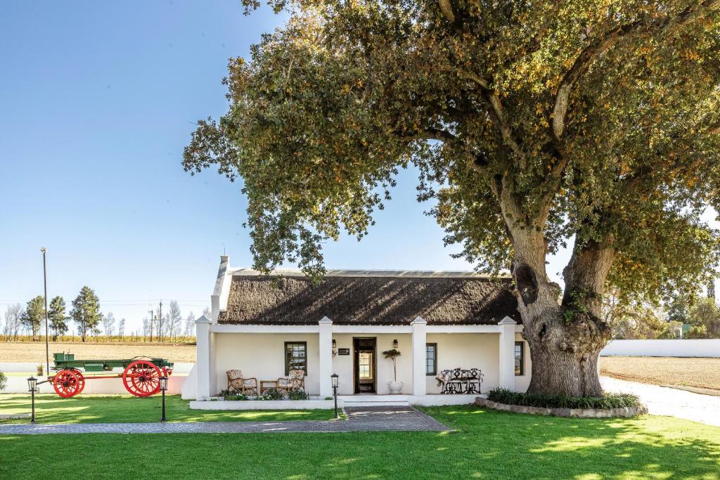 a white house with a tree in front of it at Nassau Guest Farm in Stellenbosch