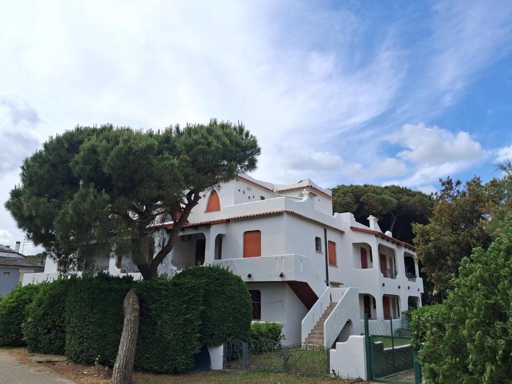 a white building with a tree in front of it at Attico Resplendor Fronte mare in Rosolina Mare