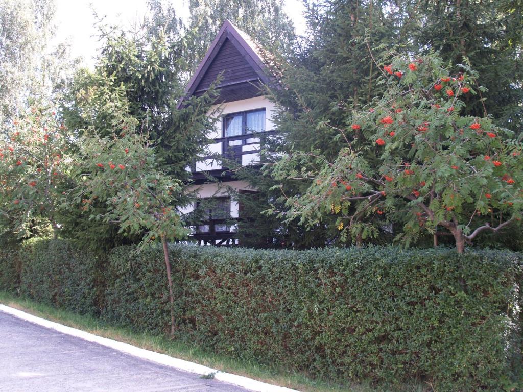 a house behind a hedge with trees and red flowers at Domek nad jeziorem in Kretowiny
